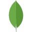 MongoDB MongoDB